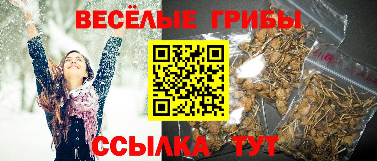 Галлюциногенные грибы Cubensis  Вход с VPN  Северодвинск 